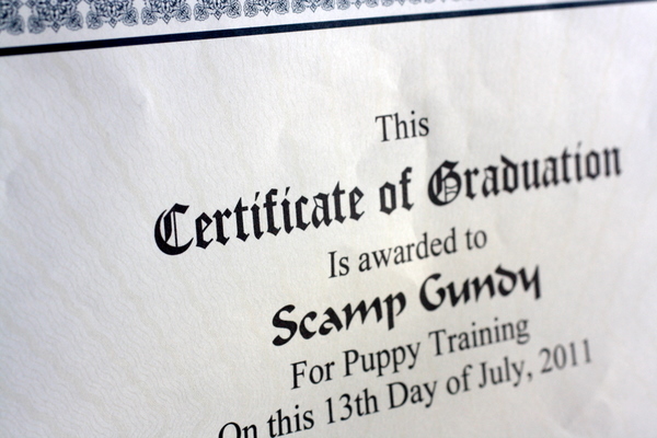 Scamp Graduation Certificate