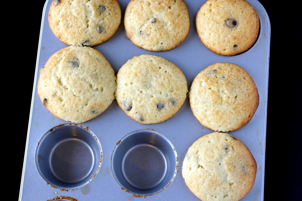 Chocolate Chip Muffins