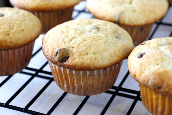 Chocolate Chip Muffins