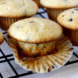 Chocolate Chip Muffins