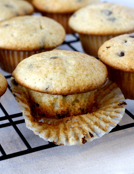 Chocolate Chip Muffins