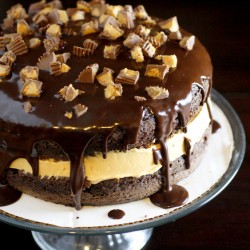 Peanut Butter Cup Cake