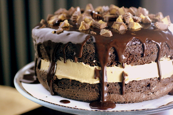 Peanut Butter Cup Cake