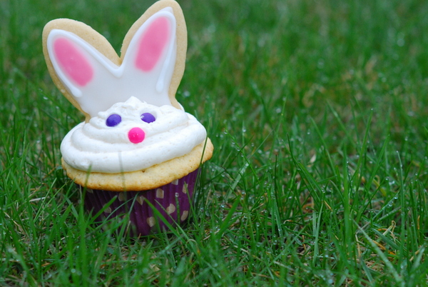 Easter Bunny Cupcakes