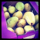 Mangoes