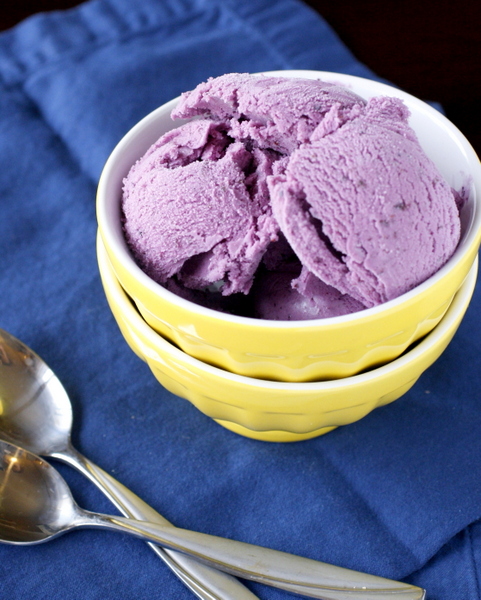 Blueberry Vanilla Ice Cream