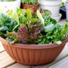 Leafy Greens