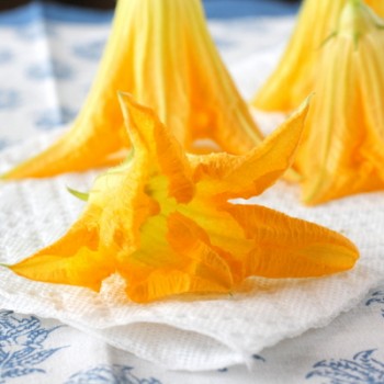 Zucchini Flowers