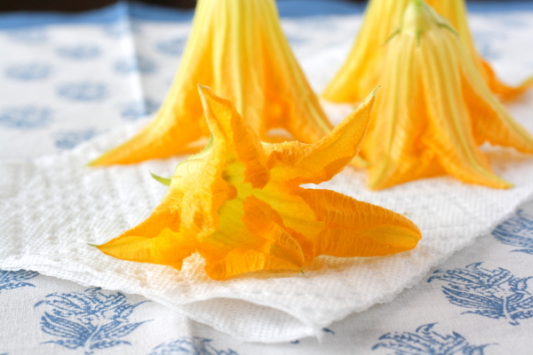 Zucchini Flowers
