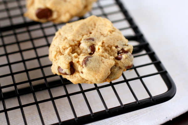 Soft Peanut Butter Chocolate Chunkers