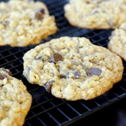 Giant Chewy Oatmeal Chocolate Chip Cookies