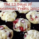12 Days of Christmas Treats 2012 from What Megan's Making