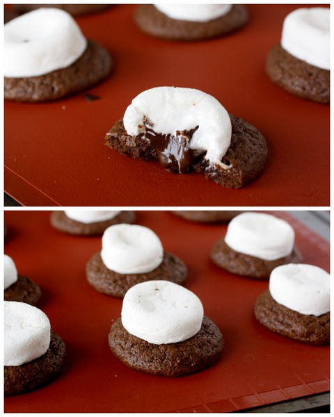 Hot Cocoa Cookies