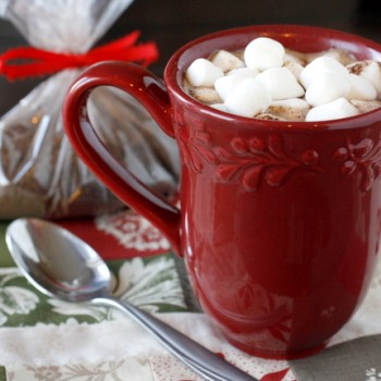Homemade Gourmet Hot Chocolate Mix