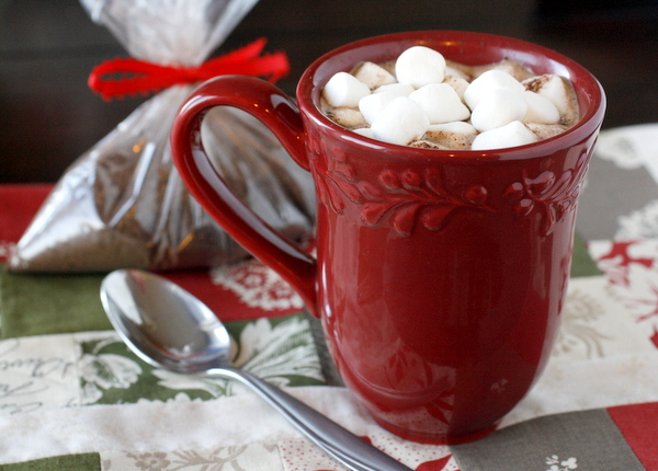 Homemade Gourmet Hot Chocolate Mix