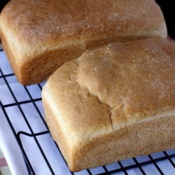 French Sandwich Bread