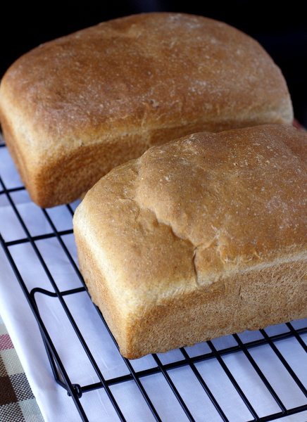 French Sandwich Bread