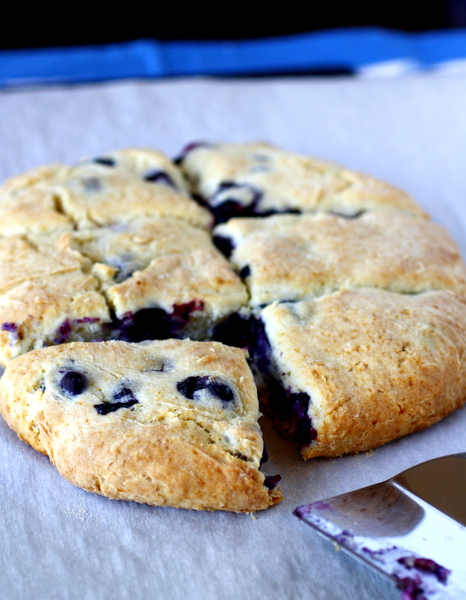 Blueberry Biscuits