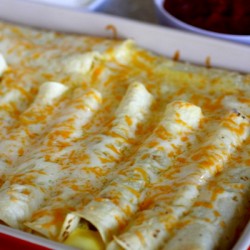 Breakfast Enchiladas Recipe