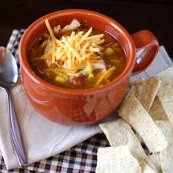 Tex-Mex Chicken Stew