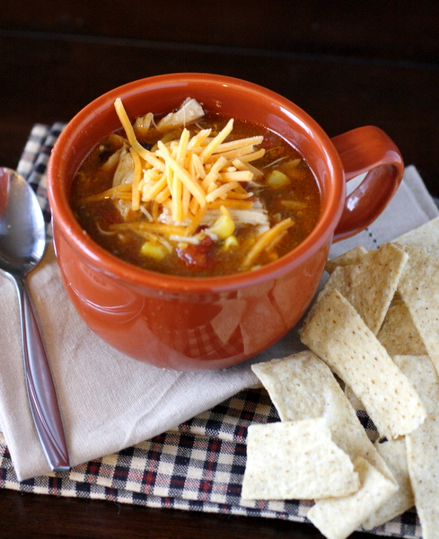 Slow Cooker Tex-Mex Chicken Stew