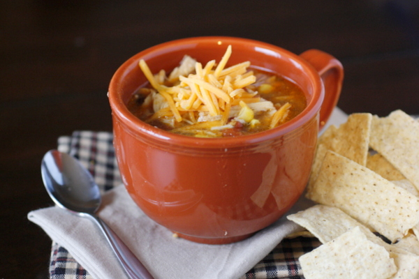 Slow Cooker Tex-Mex Chicken Stew