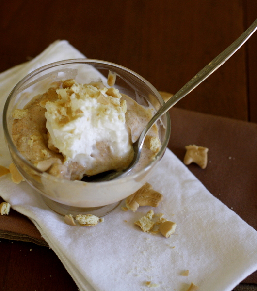 Pumpkin Pie Ice Cream