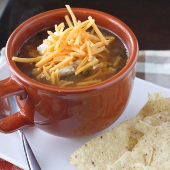 Salsa Chicken Chili