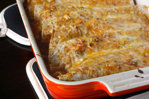 Quick and Easy Chicken Enchiladas