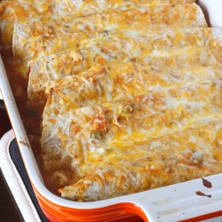 Quick and Easy Chicken Enchiladas