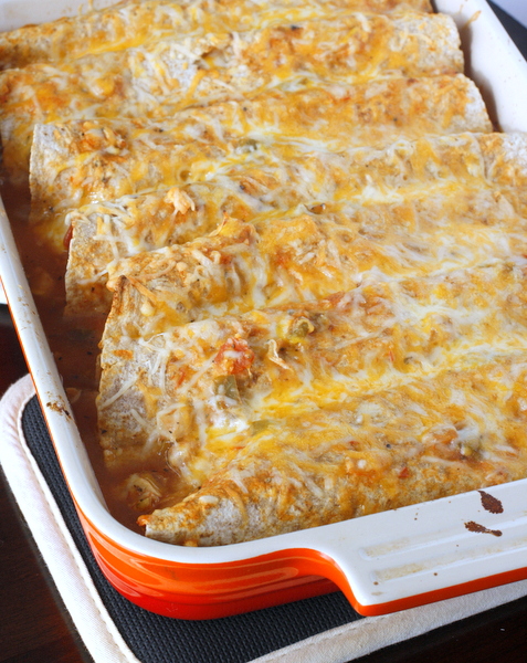 Quick and Easy Chicken Enchiladas