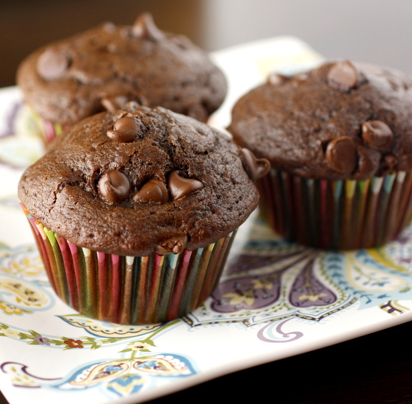 Double Chocolate Muffins