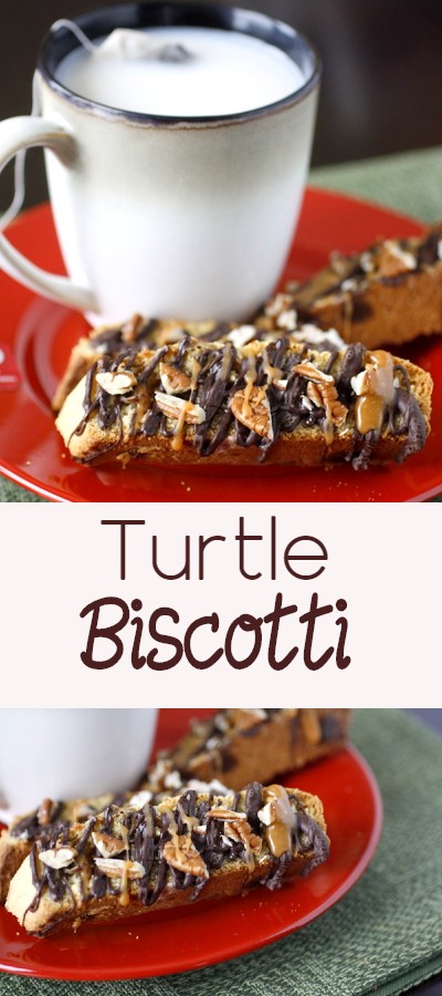 Turtle Biscotti