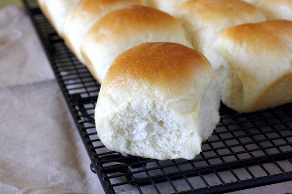 Soft Dinner Rolls