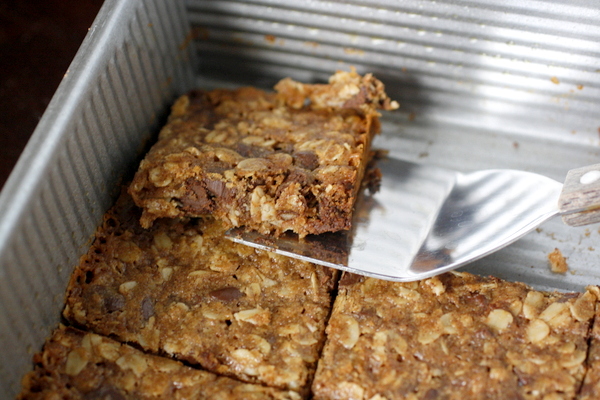 Oatmeal Cookie Granola Bars