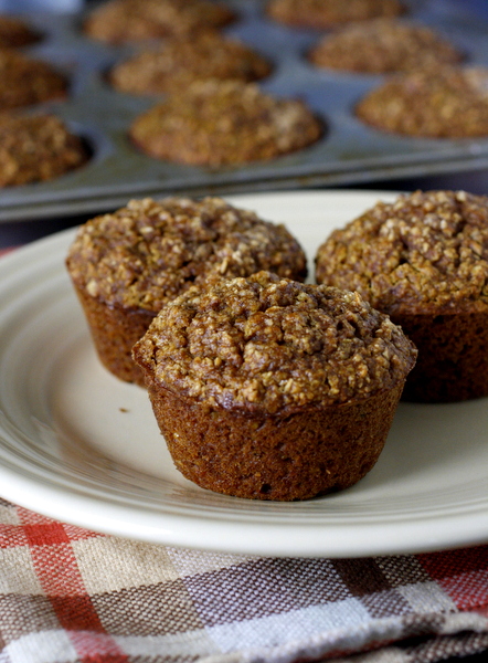 Healthy Pumpkin Oat Muffins